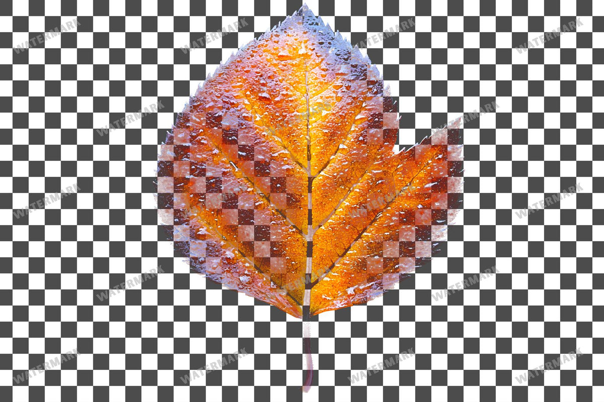 Autumn Sassafras Leaf Light Warm PNG overlay on a transparent checkered background, preview 2