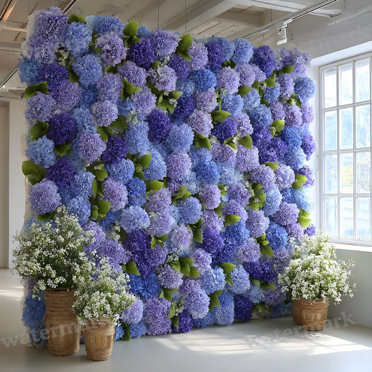 Blue Hydrangea Wall Backdrop Images