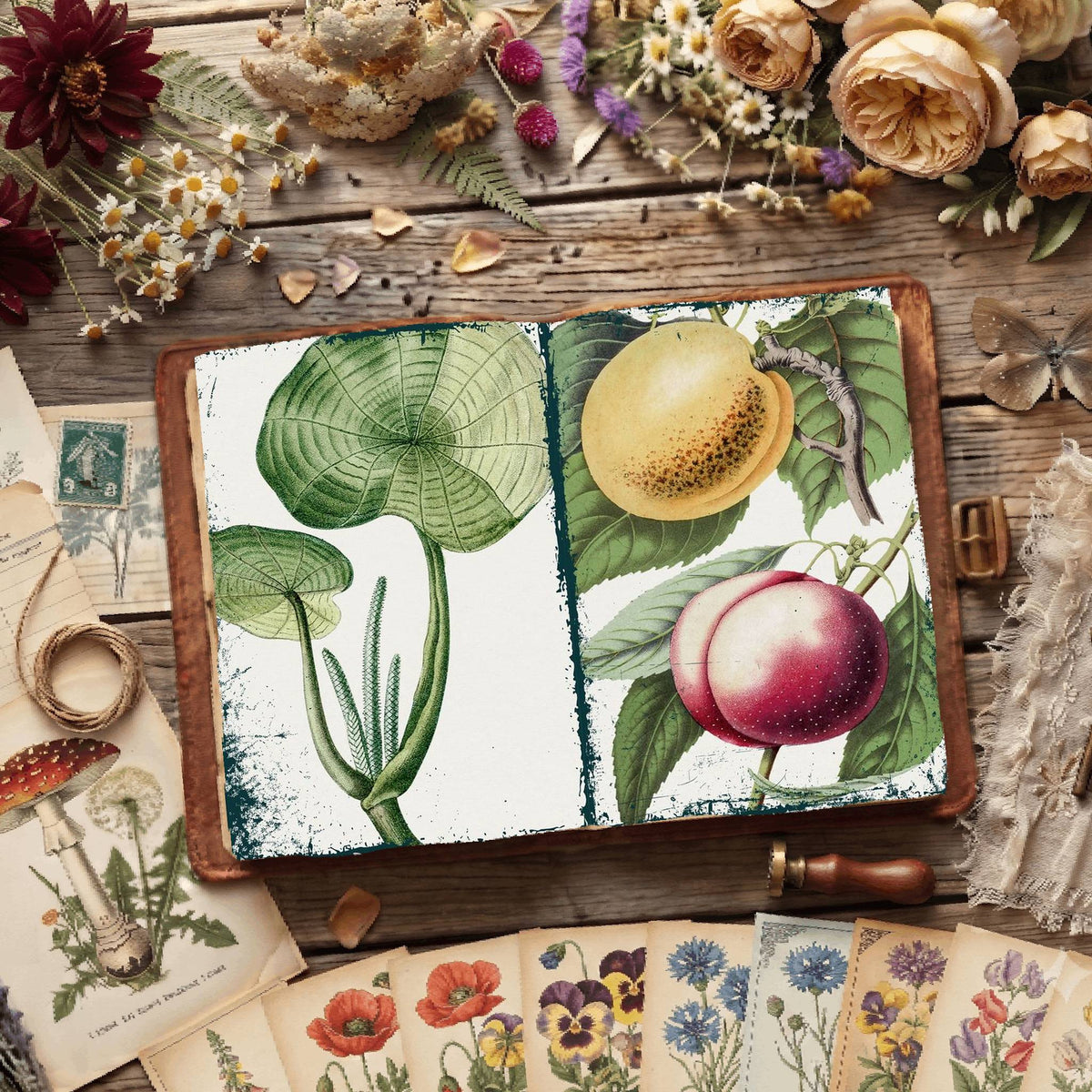 Botanical Illustrations Digital Papers
