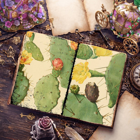 Cactus Illustrations Digital Papers