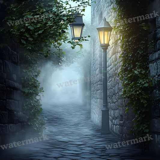 Cobblestone Alleyway Backdrop Images