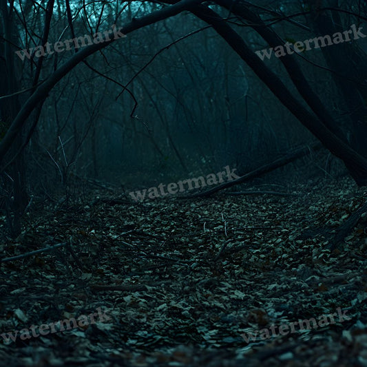 Dark Forest Backdrop Images