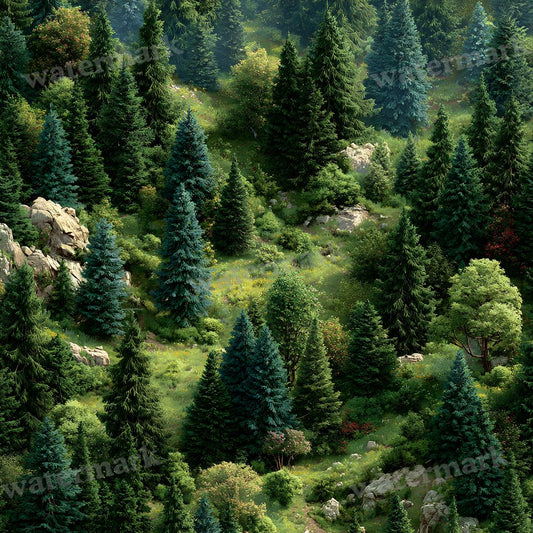 Dense Forestrealistic Backdrop Images