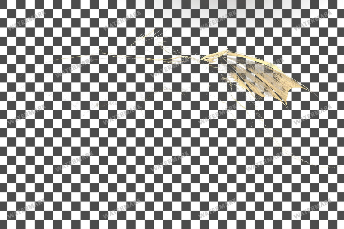 Dragon Silhouette Transparent Overlay Pngs