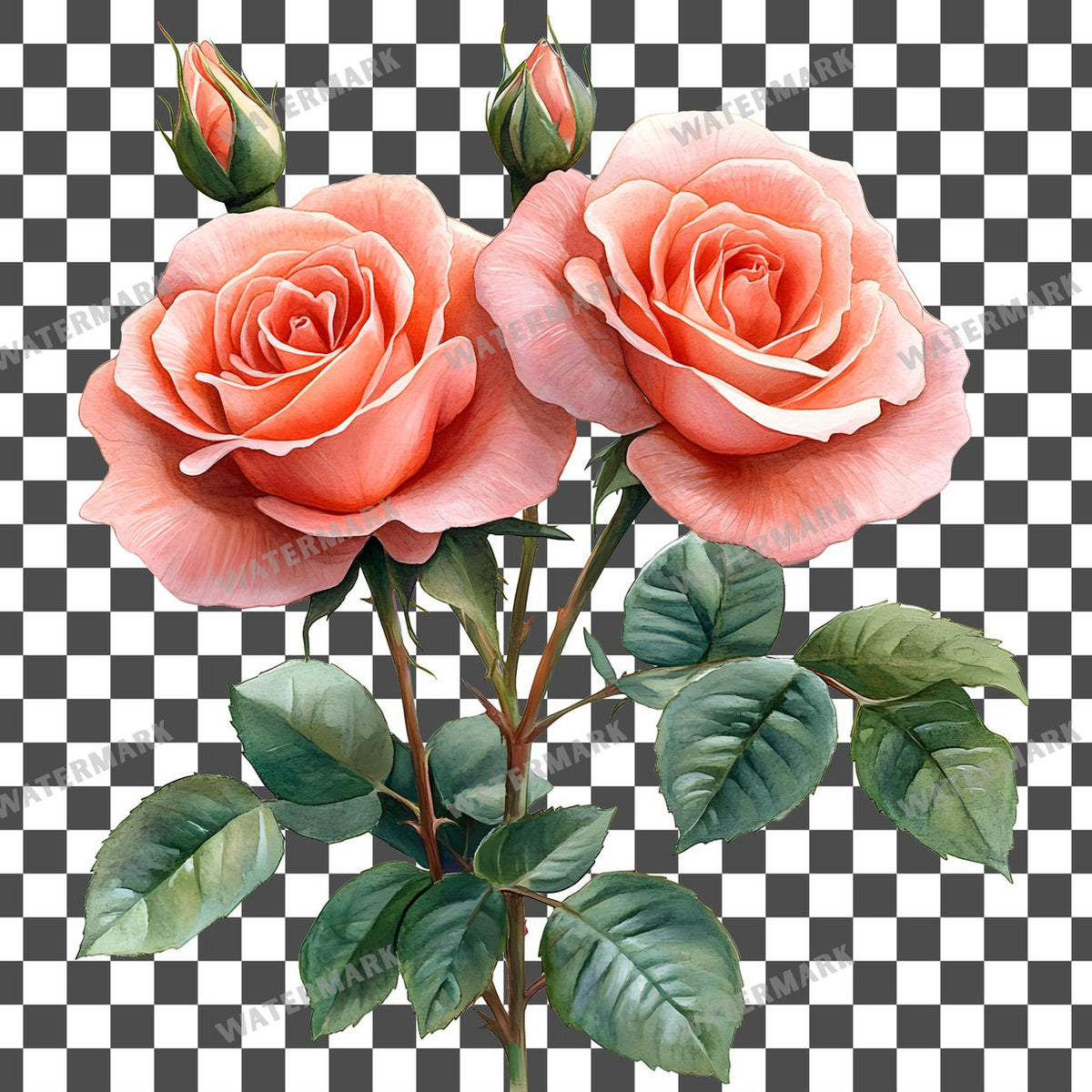 Faded Rose Bouquet clipart PNG on a transparent background, design 2