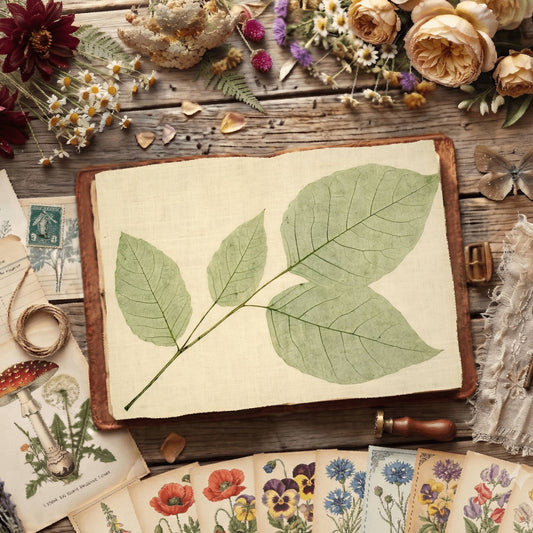 Fig Leaves Digital Papers