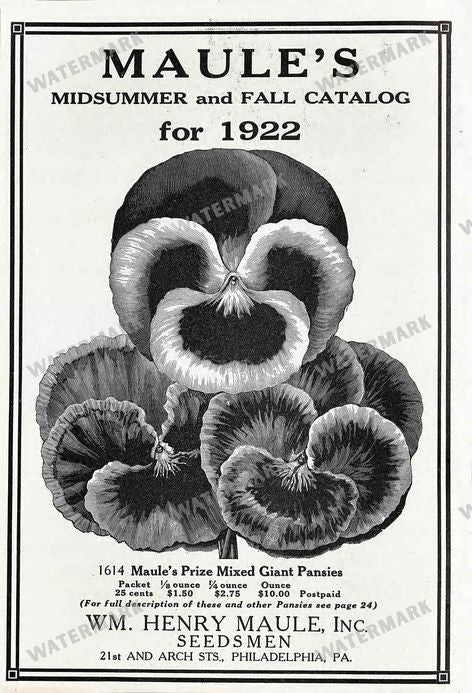 Floral Vintage Prints