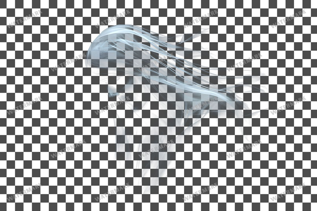 Ghostly Apparition Transparent Overlay Pngs