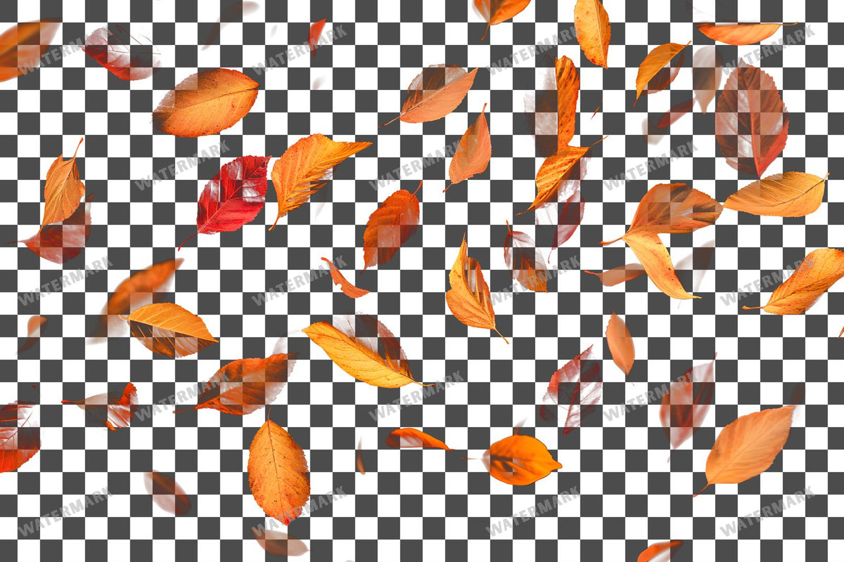 Golden Autumn Leaves Floating PNG overlay on a transparent checkered background, preview 2