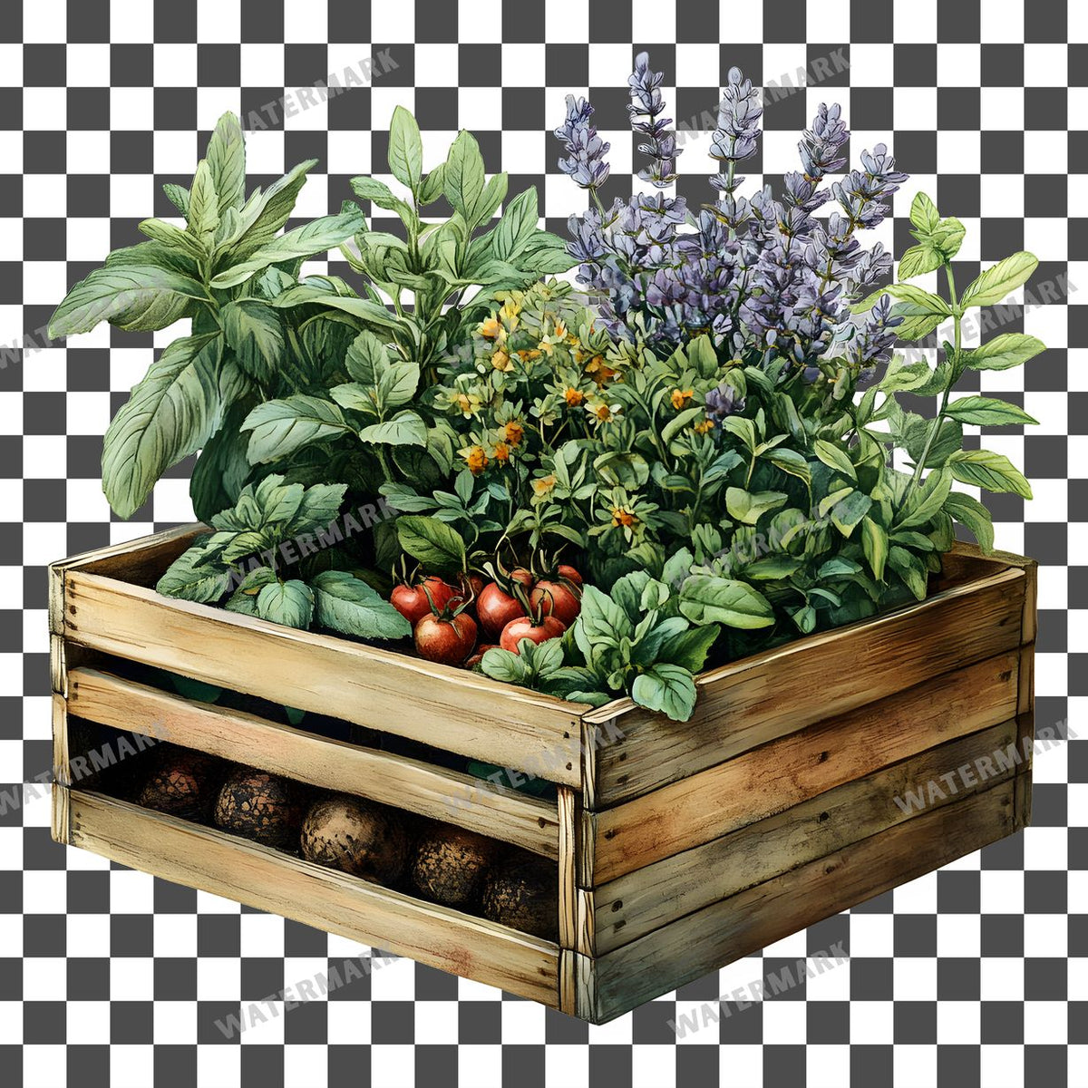 Herbs Vintage Style clipart PNG on a transparent background, design 2