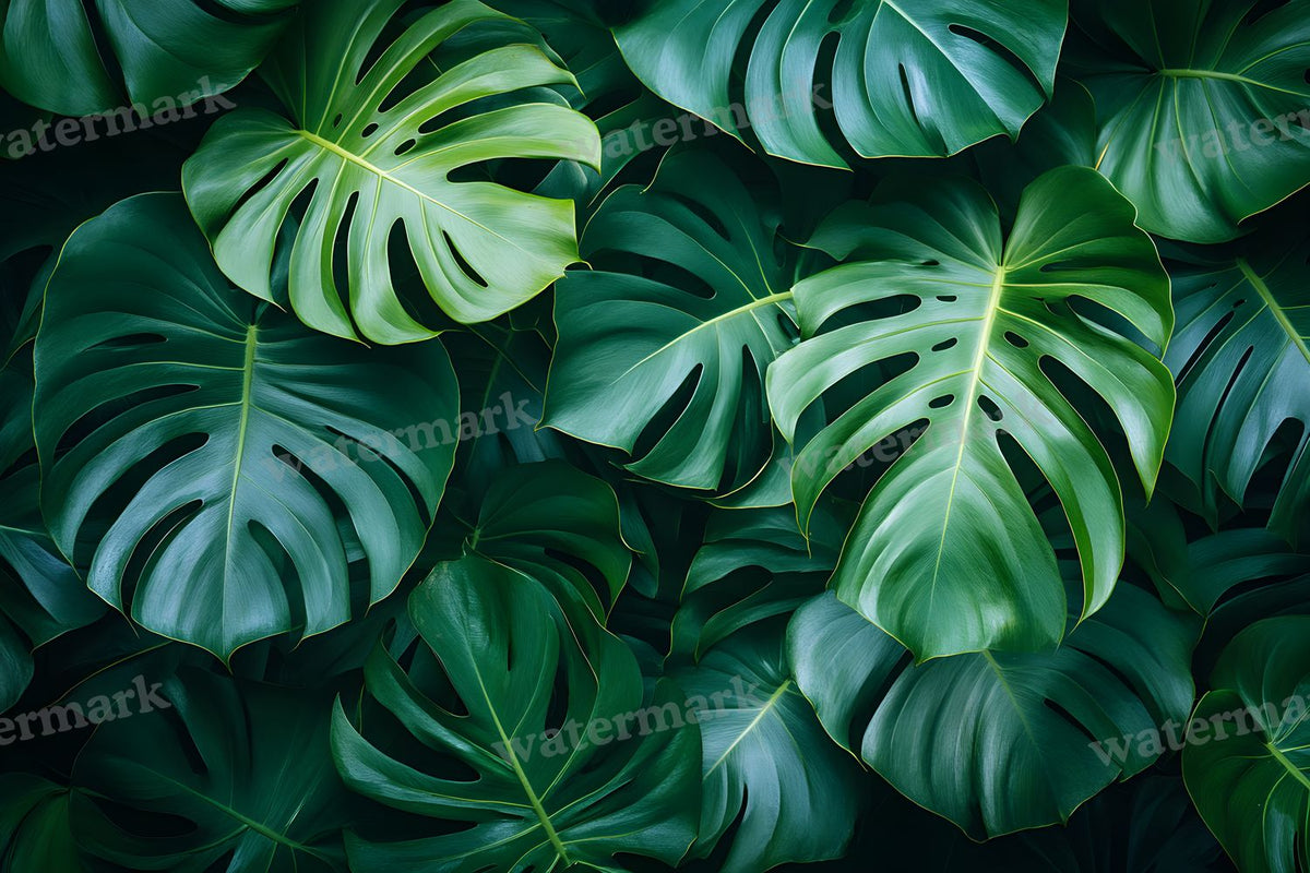 Monstera Leaves Tropical Paradise digital photo backdrop for photo editing, preview 1