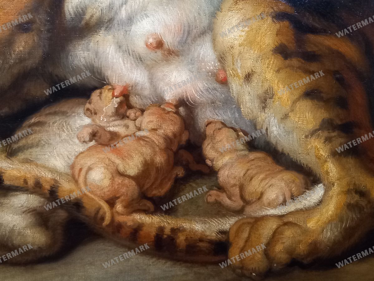Peter Paul Rubens Vintage Paintings
