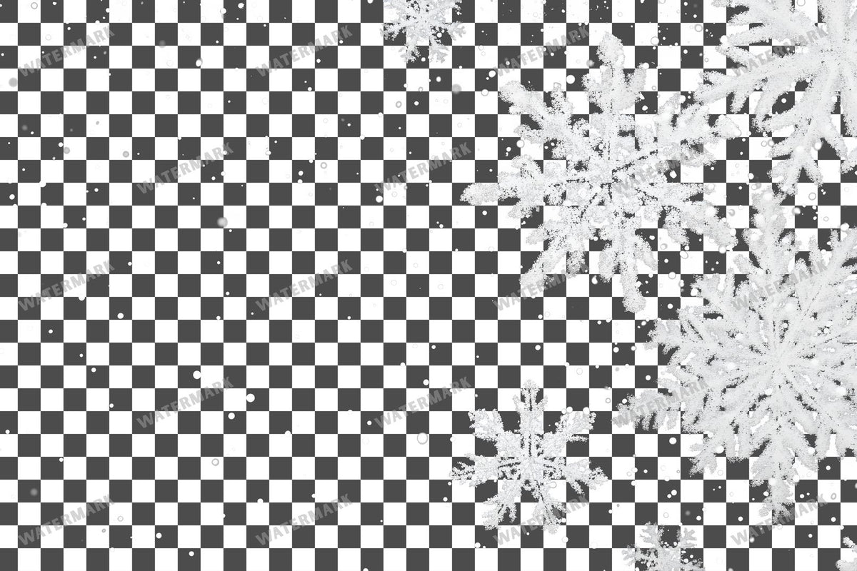 Snow Flake Overlay Lots