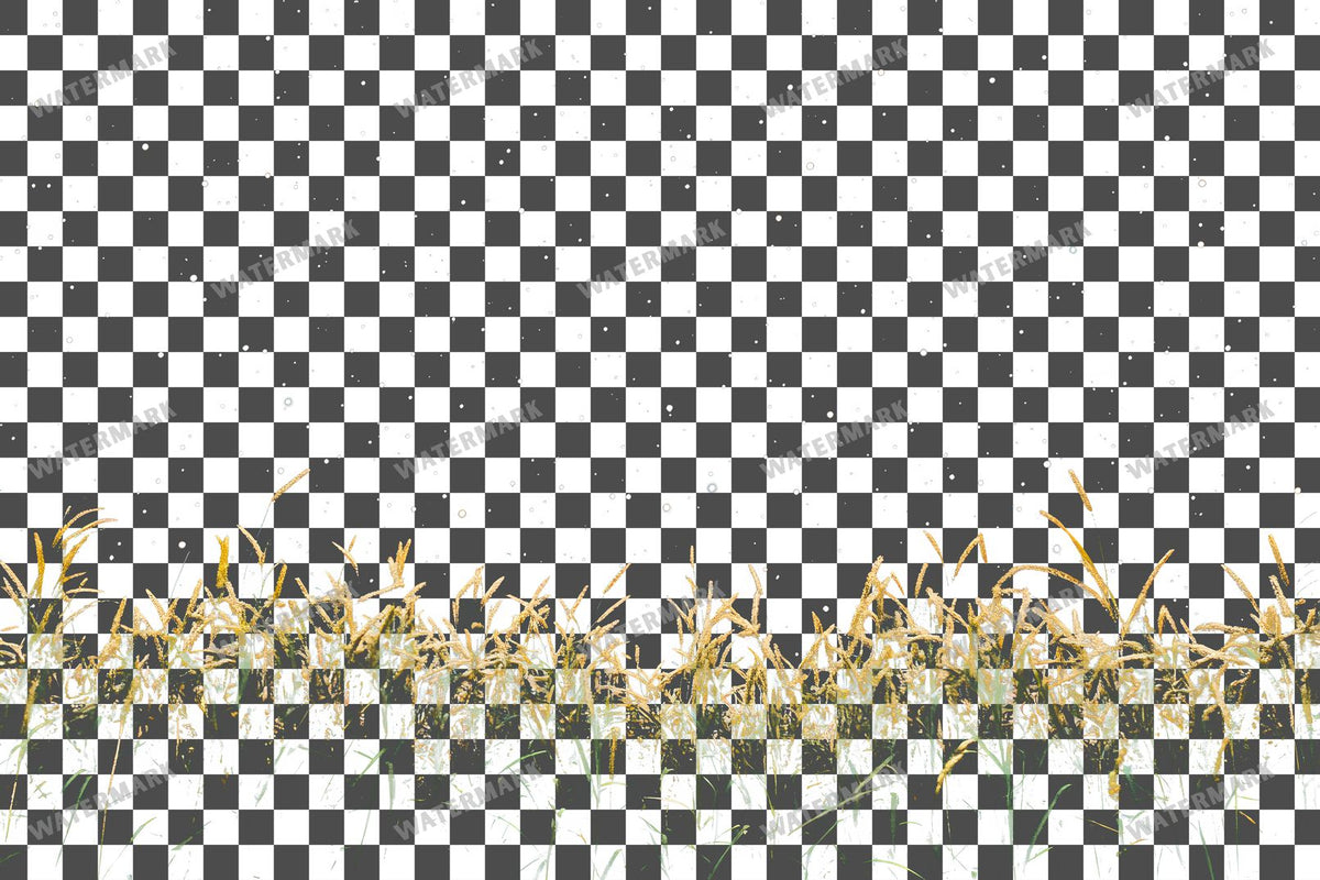 Starry Meadow Transparent Overlay Pngs