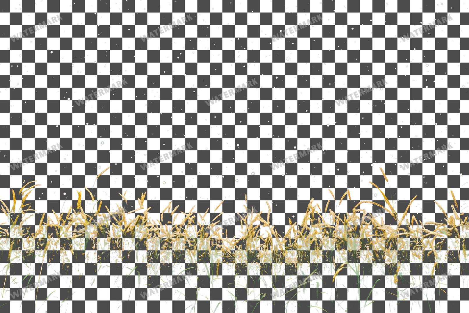 Starry Meadow Transparent Overlay Pngs