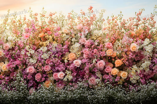 Valentine Backdrop Images