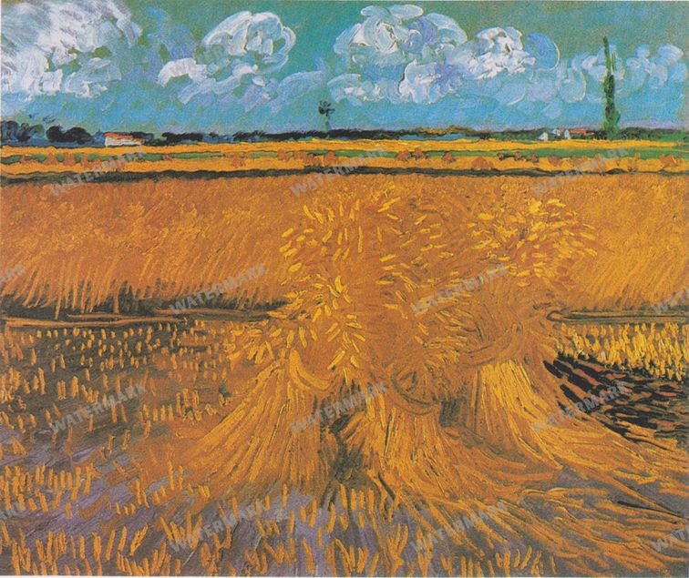 Vincent Willem Van Gogh Vintage Paintings