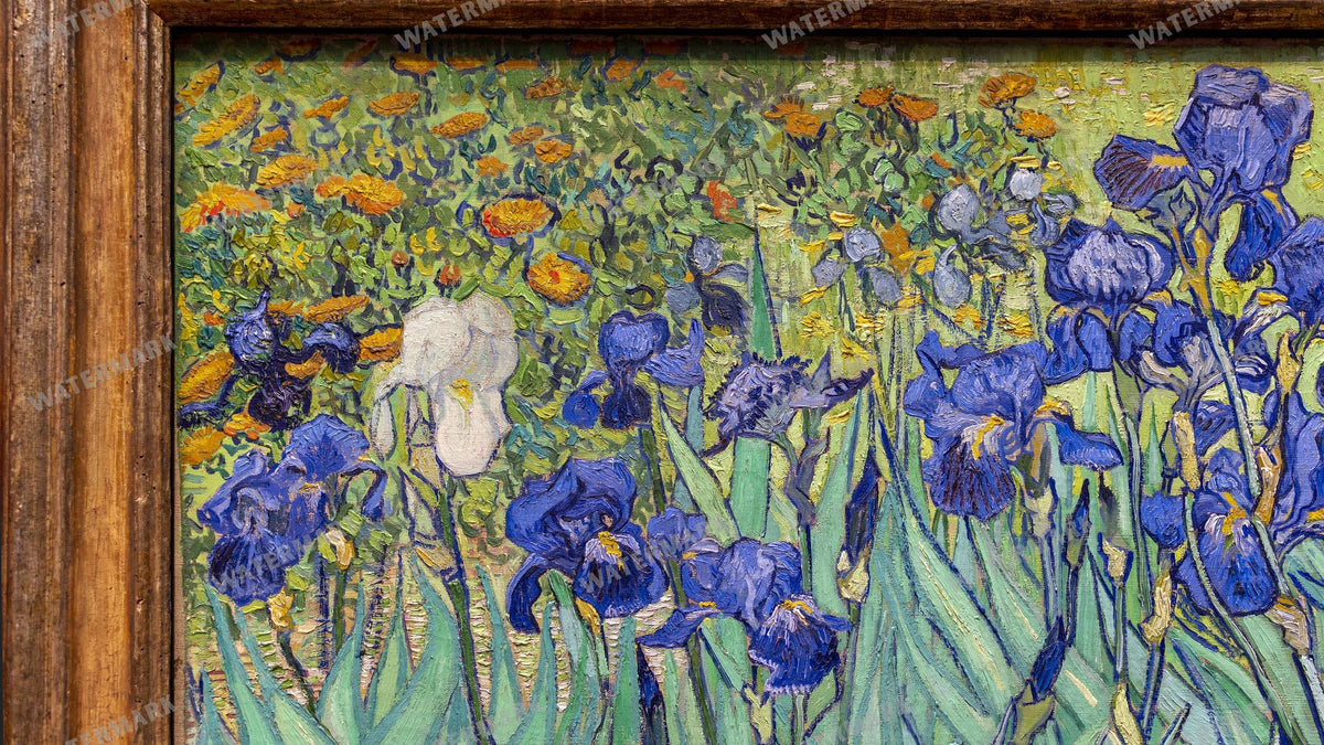 Vincent Willem Van Gogh Vintage Paintings