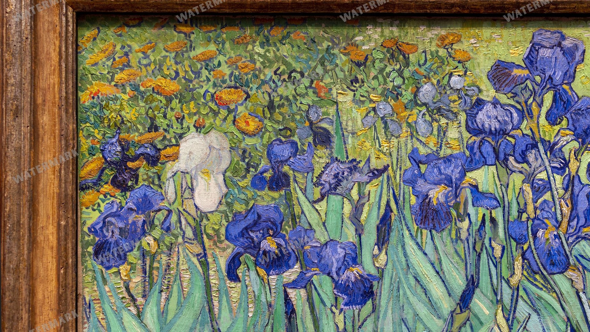 Vincent Willem Van Gogh Vintage Paintings