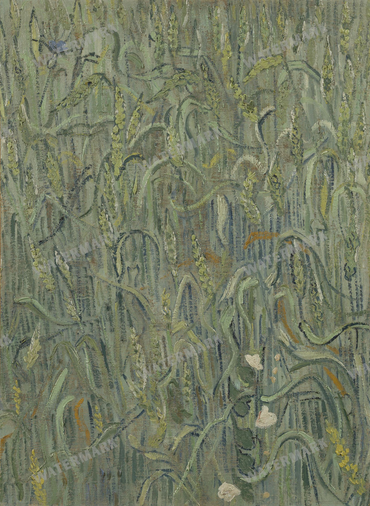 Vincent Willem Van Gogh Vintage Paintings
