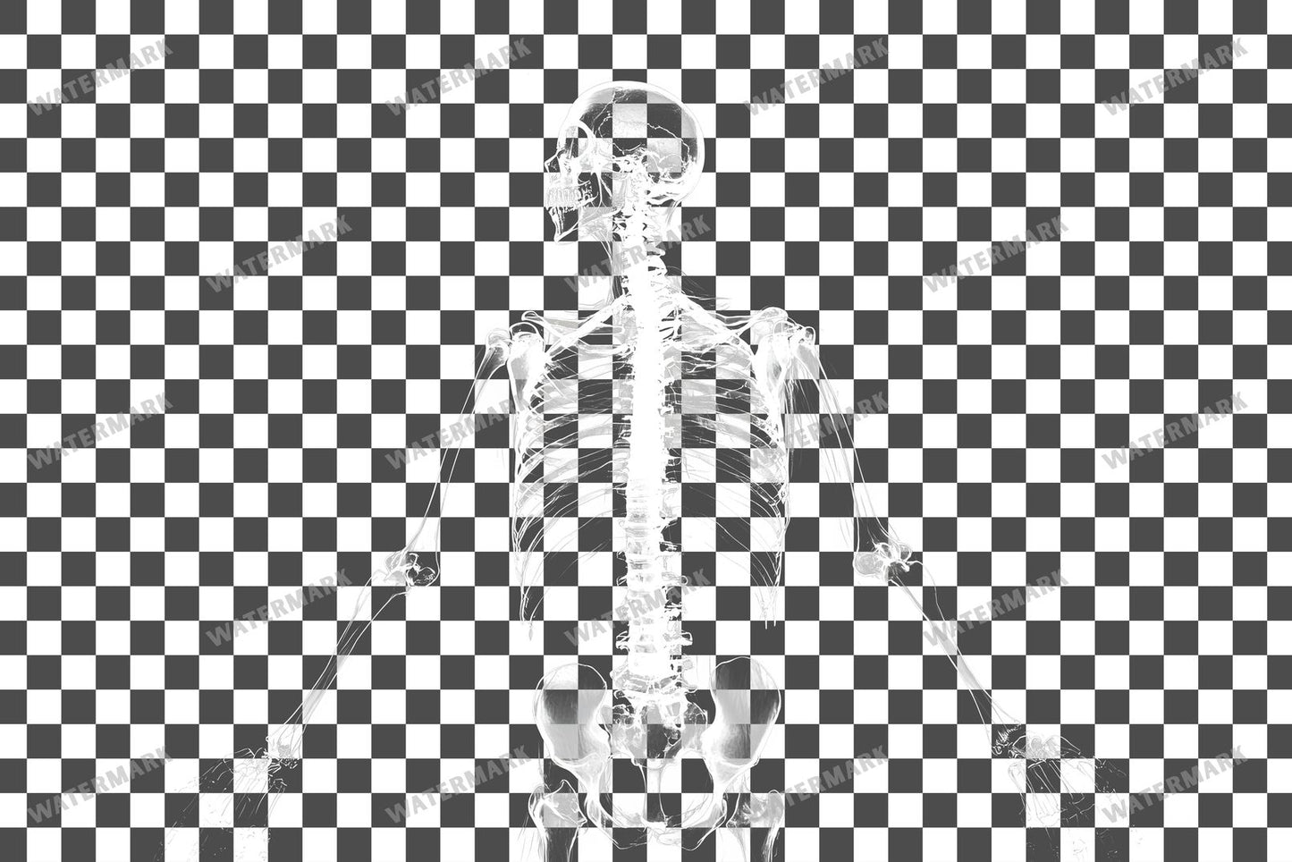 X-Ray Transparent Overlay Pngs