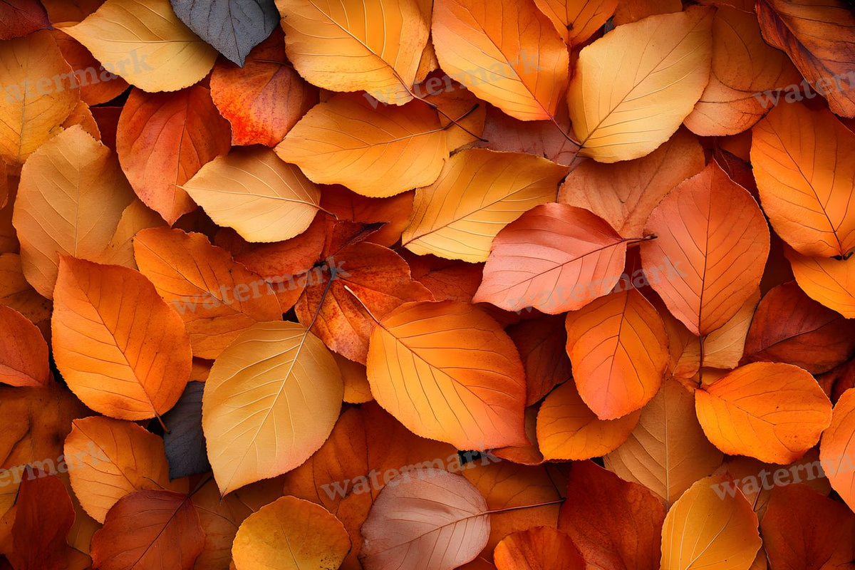 Autumn Season Backdrop Images