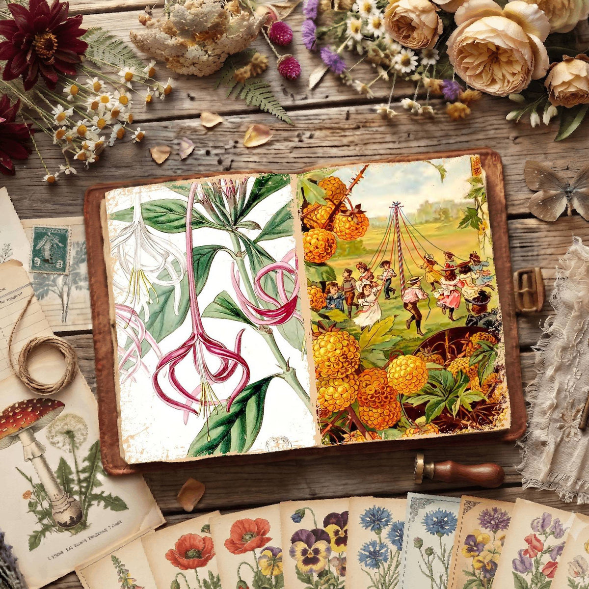 Botanical Illustrations Digital Papers