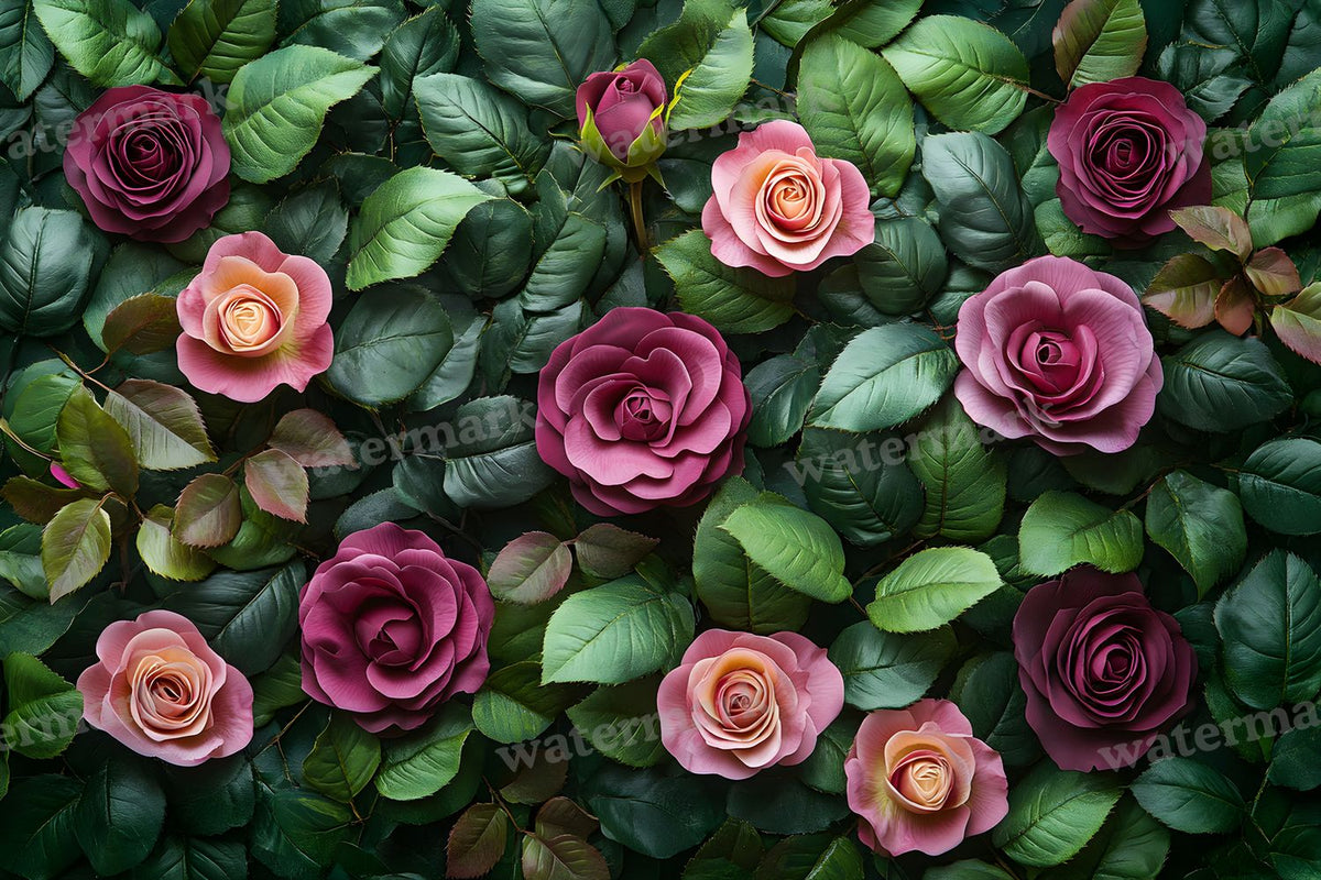 Burgundy Rose Arrangement Backdrop Images