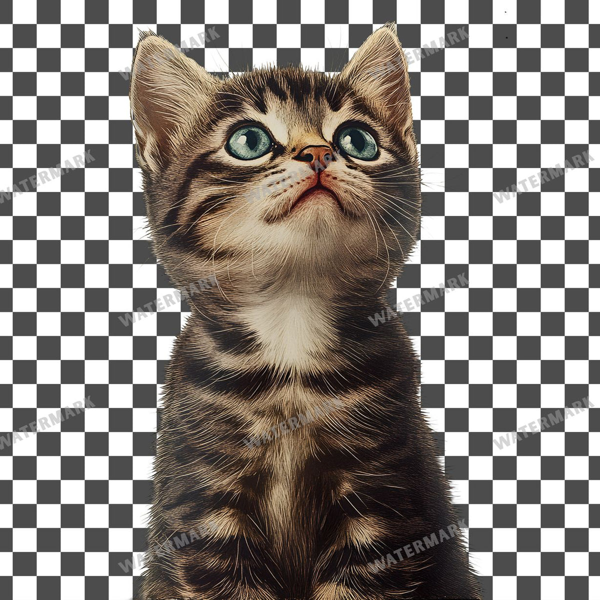 Cat Vintage Style Clipart Pngs