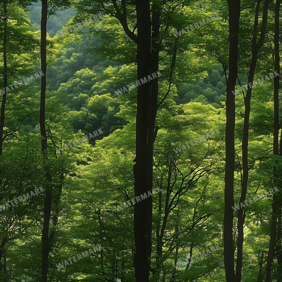 Forest Seamless Pattern