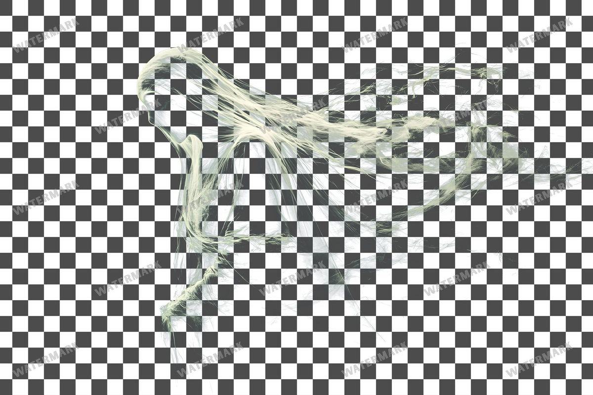 Ghostly Apparition Transparent Overlay Pngs