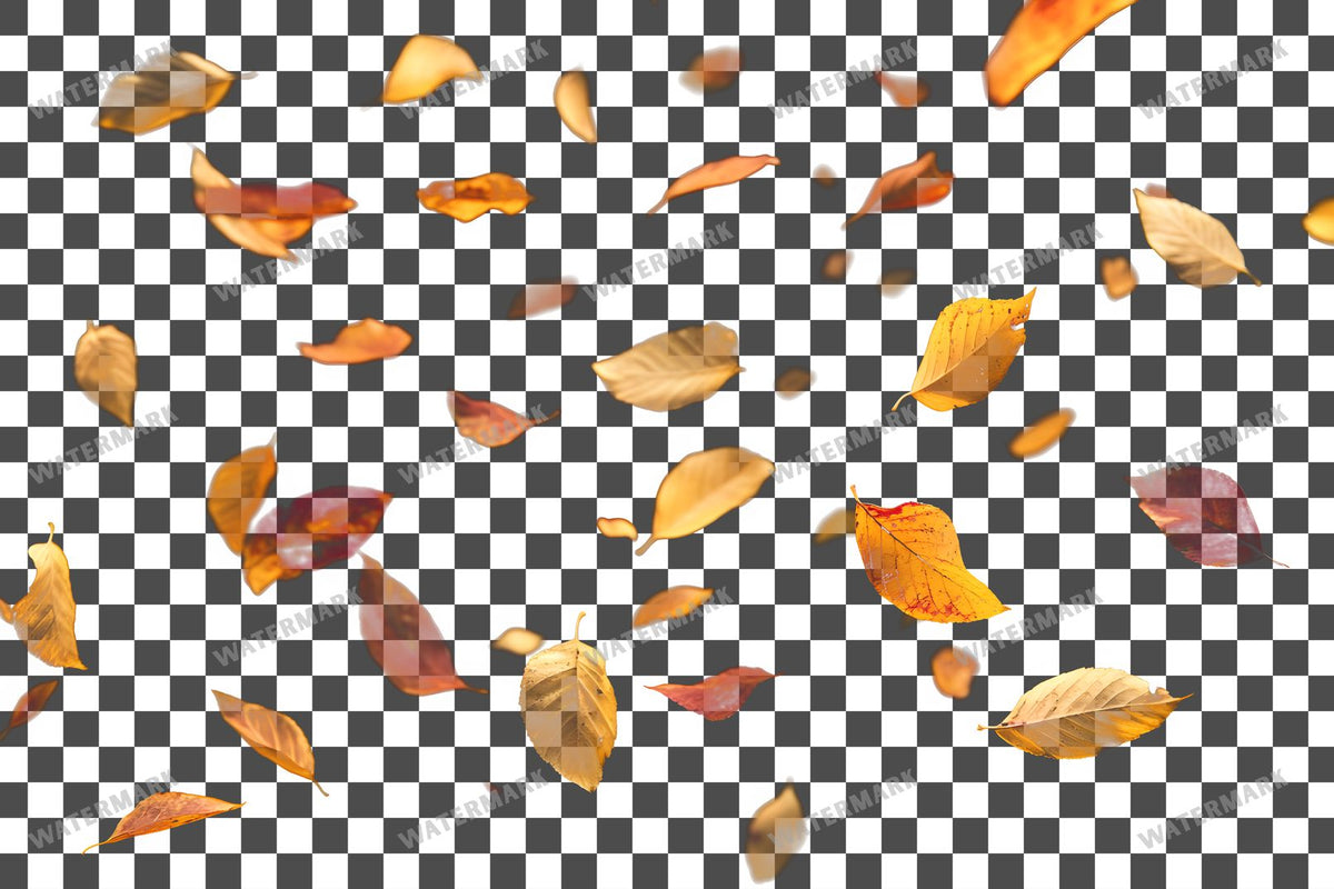 Golden Autumn Leaves Floating PNG overlay on a transparent checkered background, preview 3