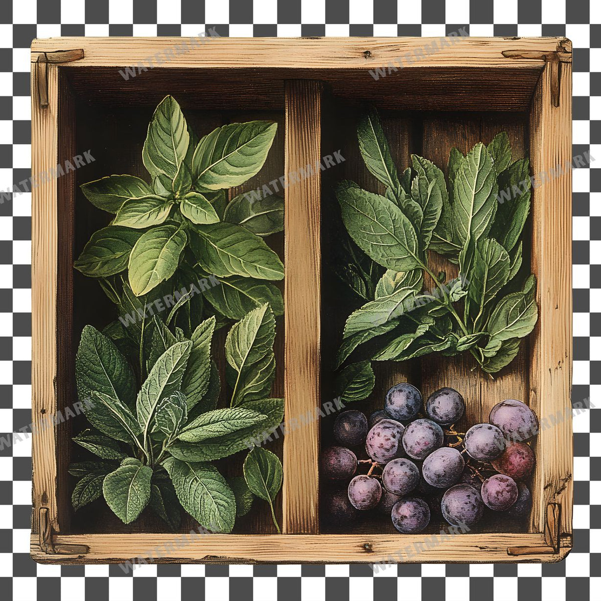 Herbs Vintage Style clipart PNG on a transparent background, design 3