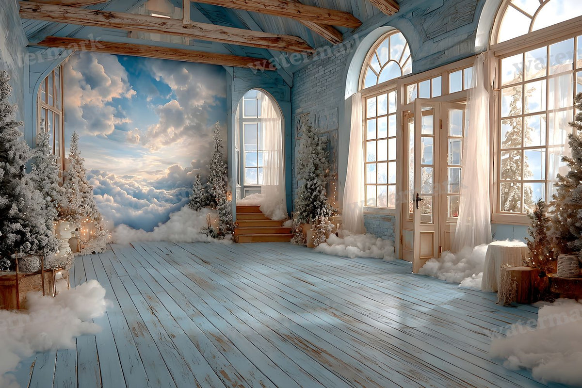 Indoor Winter Wonderland Backdrop Images