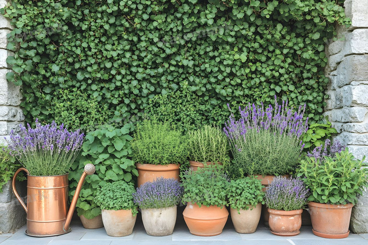Meticulouvictorian Garden Backdrop Images