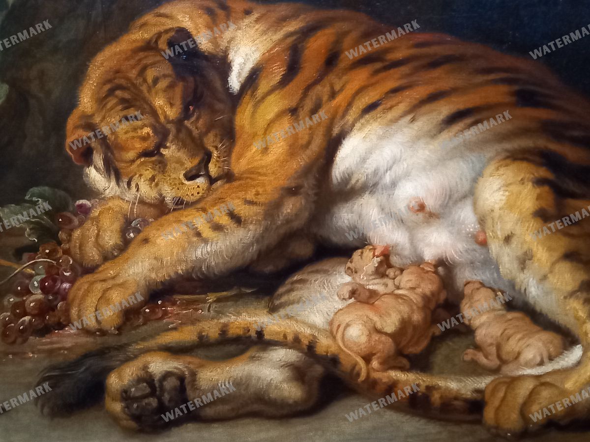 Peter Paul Rubens Vintage Paintings