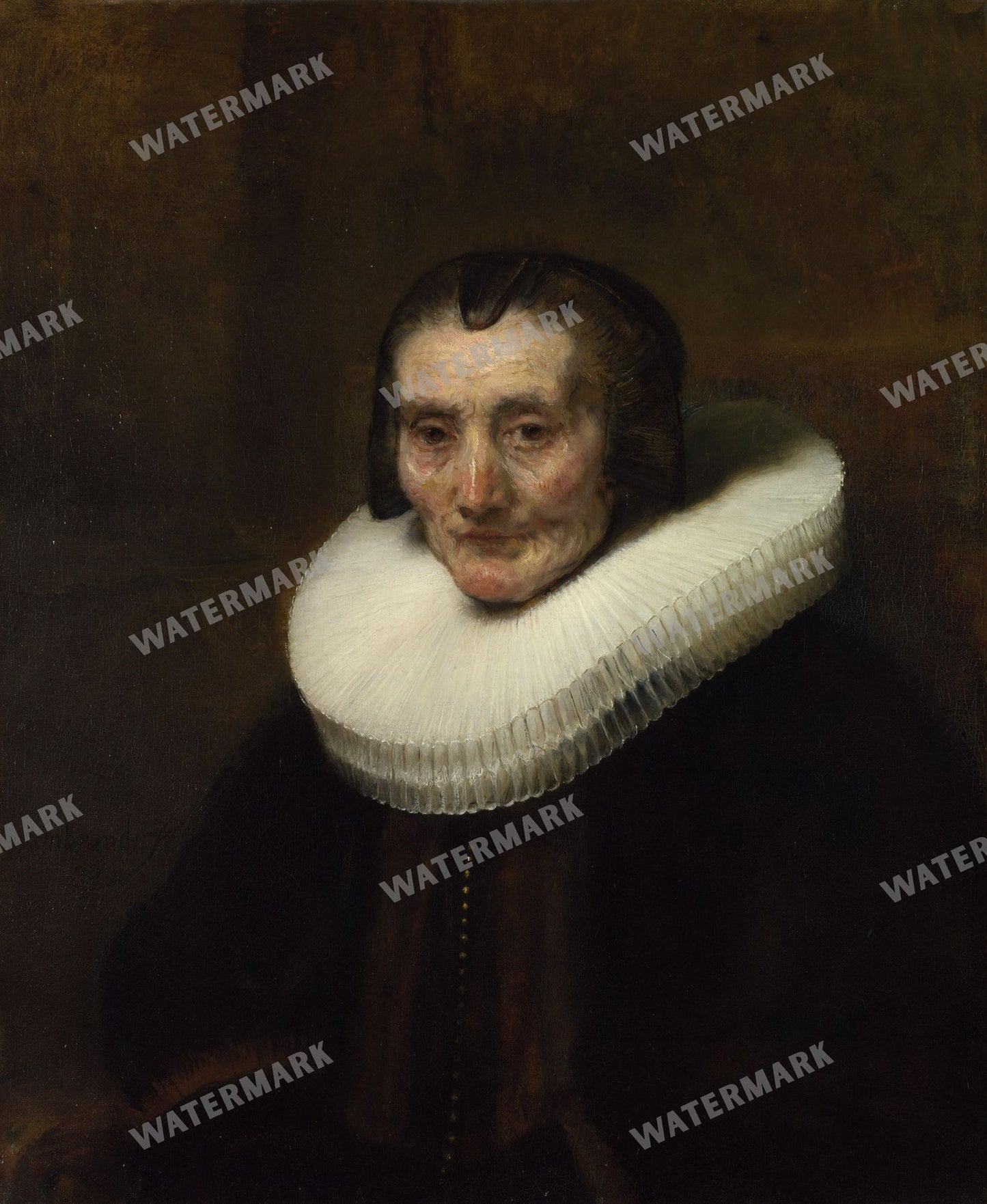 Rembrandt Van Rijn Vintage Paintings