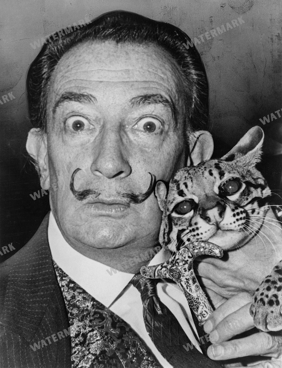 Salvador Dali Vintage Paintings