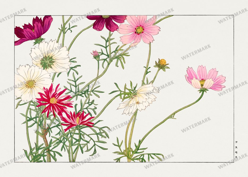 Seiyô Sôka Zufu Vintage Paintings