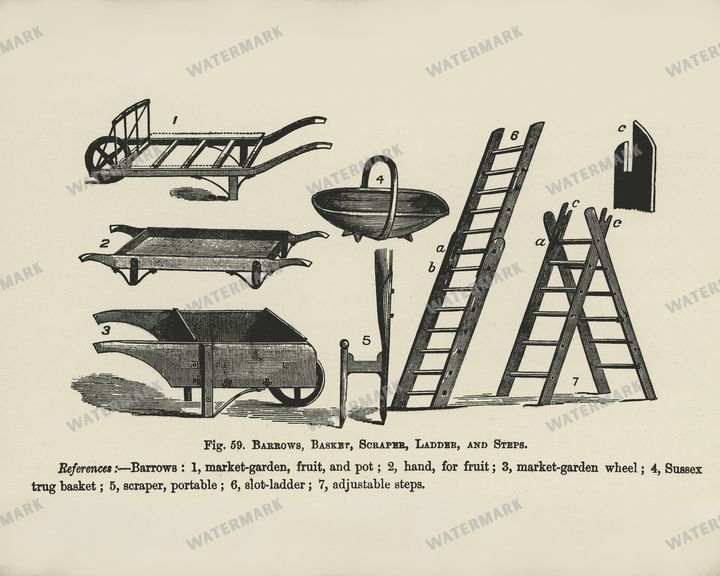 The Fruit Grower'S Guide Vintage Paintings