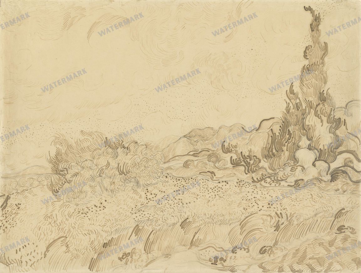 Vincent Willem Van Gogh Vintage Paintings