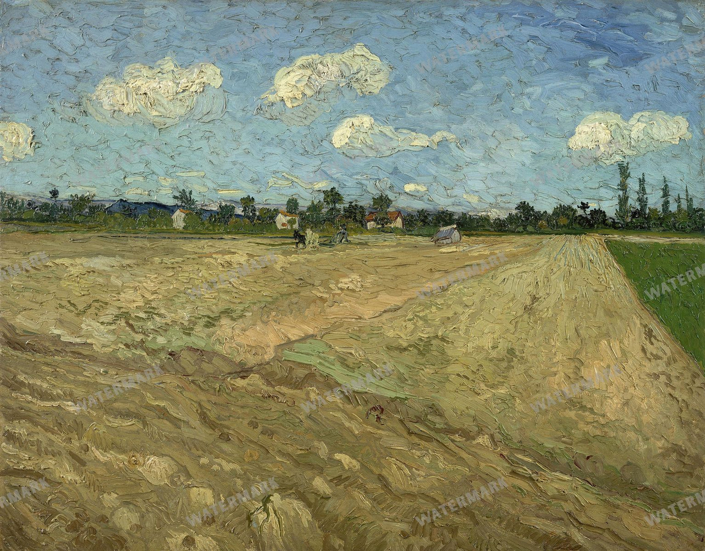 Vincent Willem Van Gogh Vintage Paintings