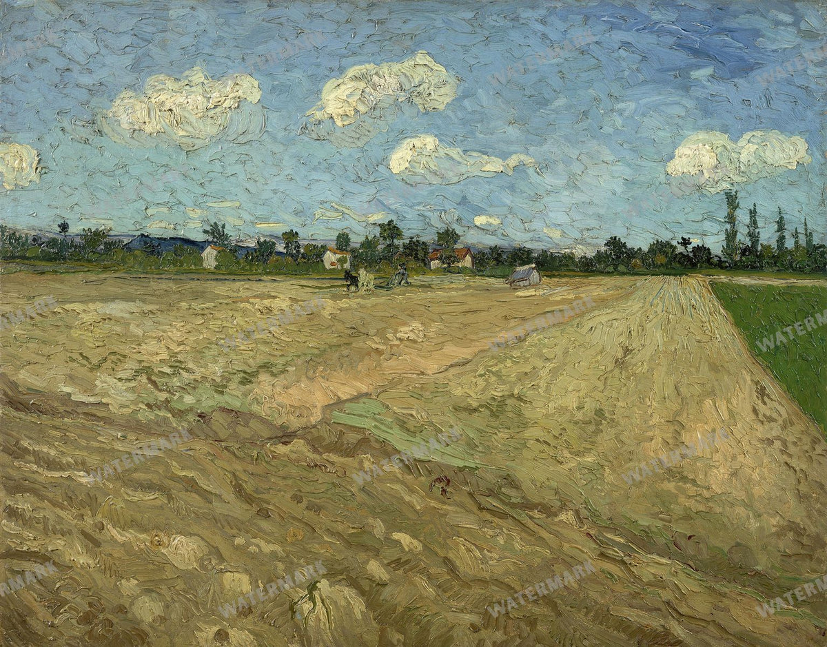 Vincent Willem Van Gogh Vintage Paintings