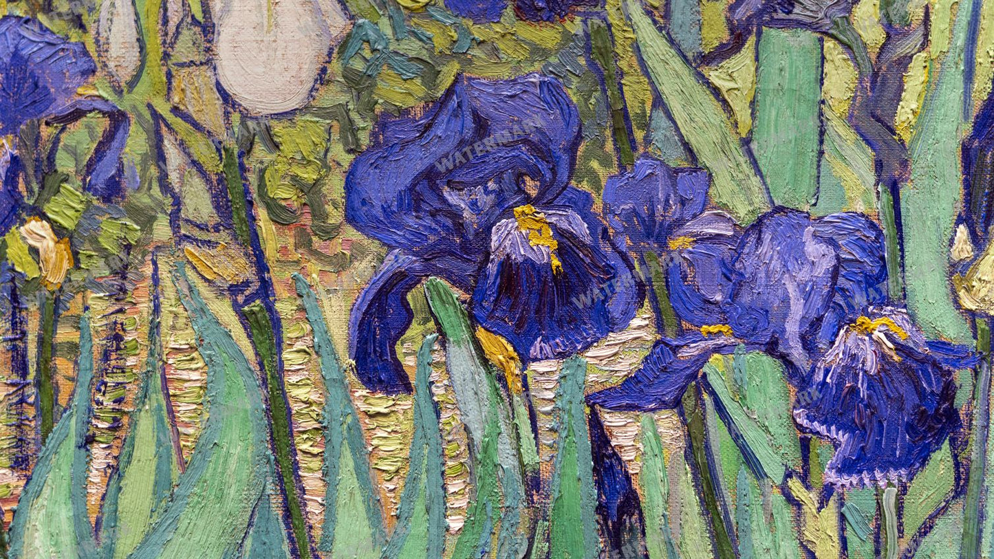 Vincent Willem Van Gogh Vintage Paintings