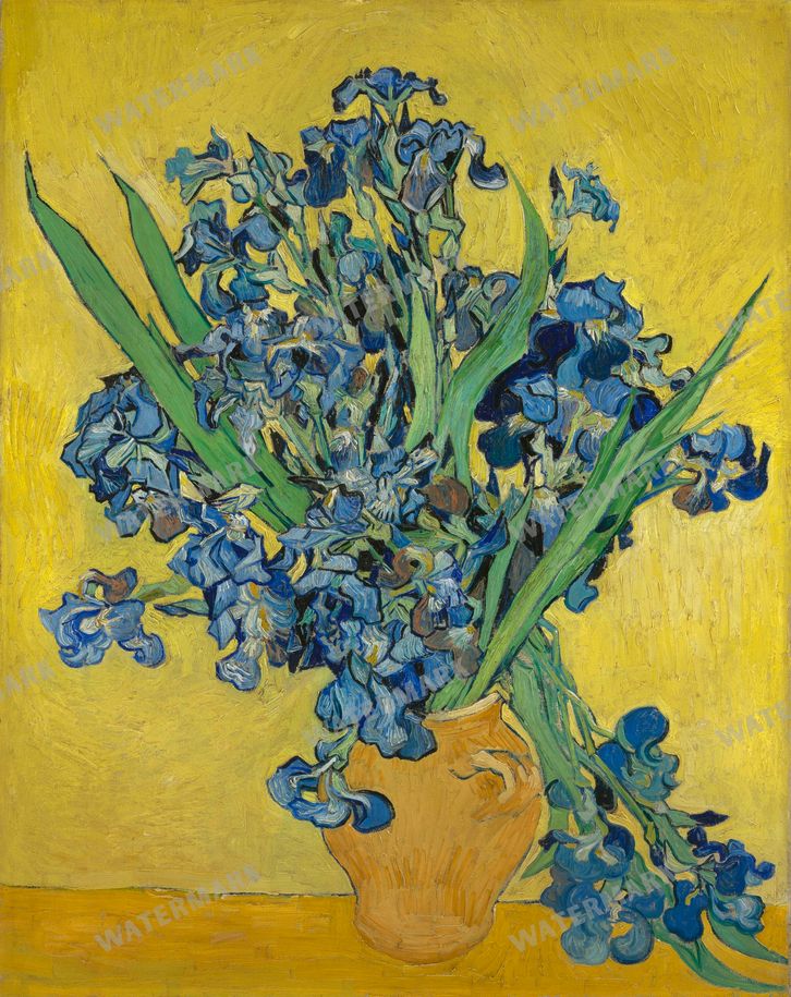 Vincent Willem Van Gogh Vintage Paintings