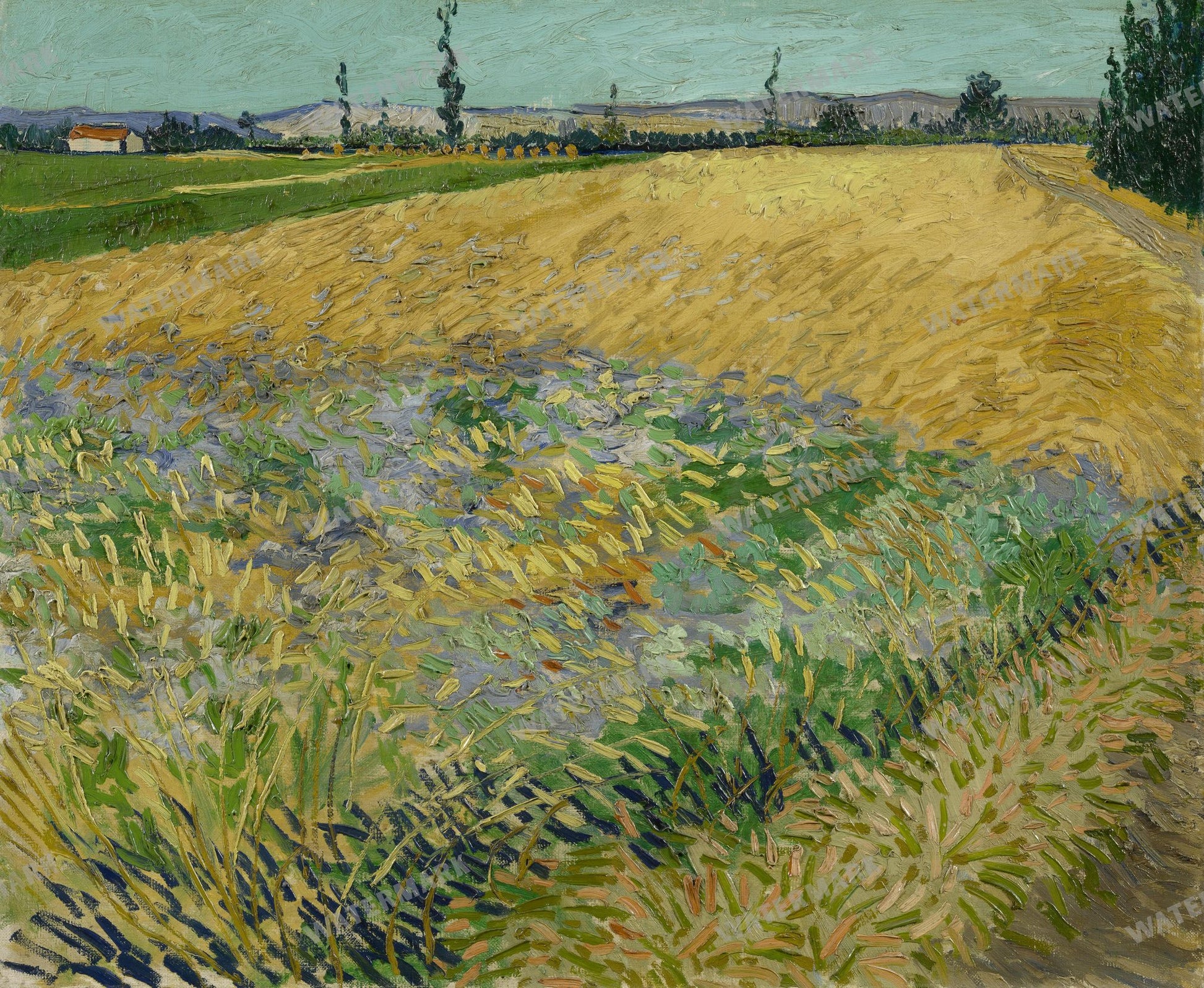 Vincent Willem Van Gogh Vintage Paintings