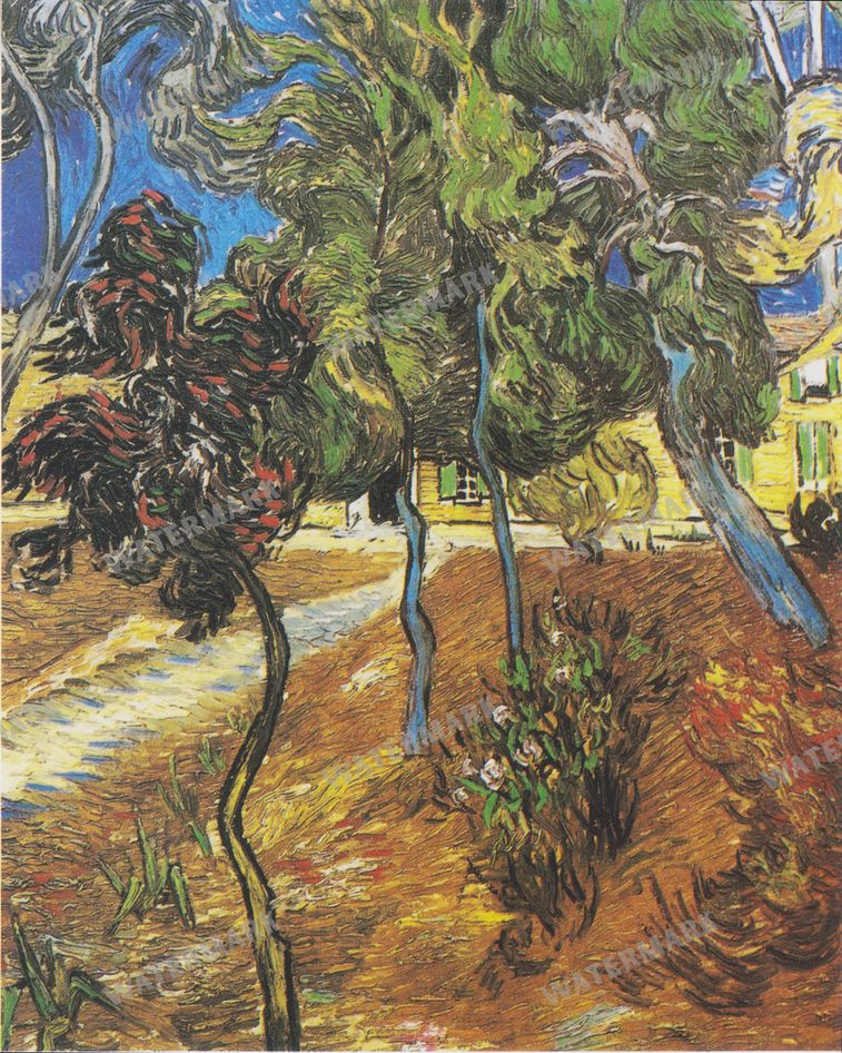 Vincent Willem Van Gogh Vintage Paintings