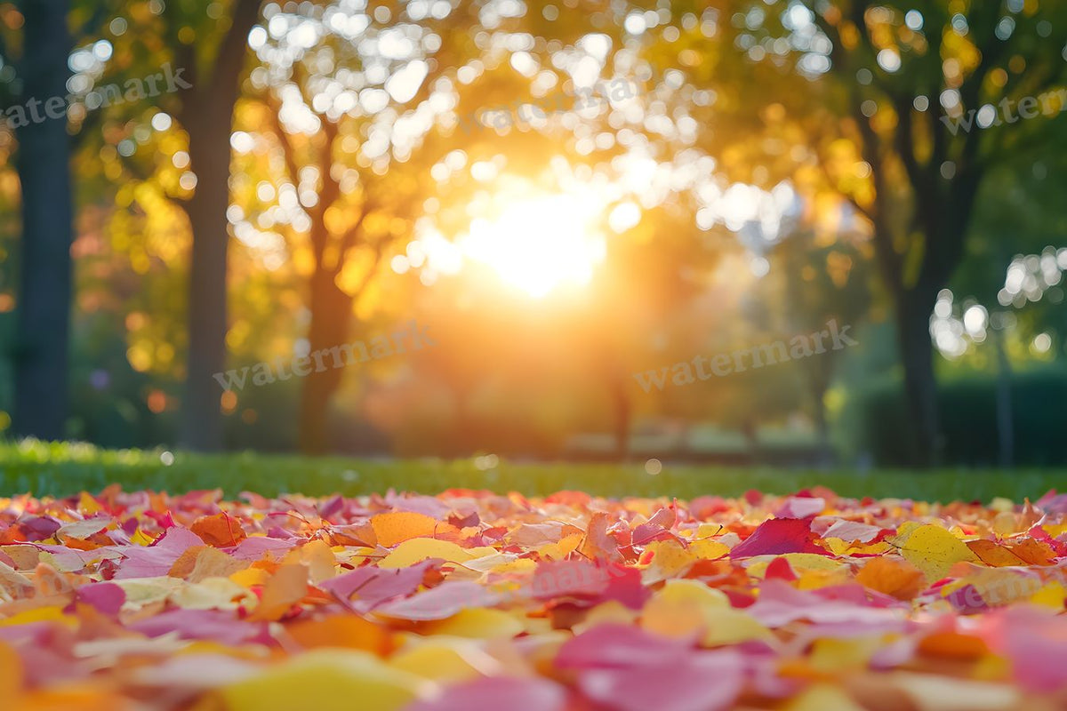 Autumn Season Backdrop Images