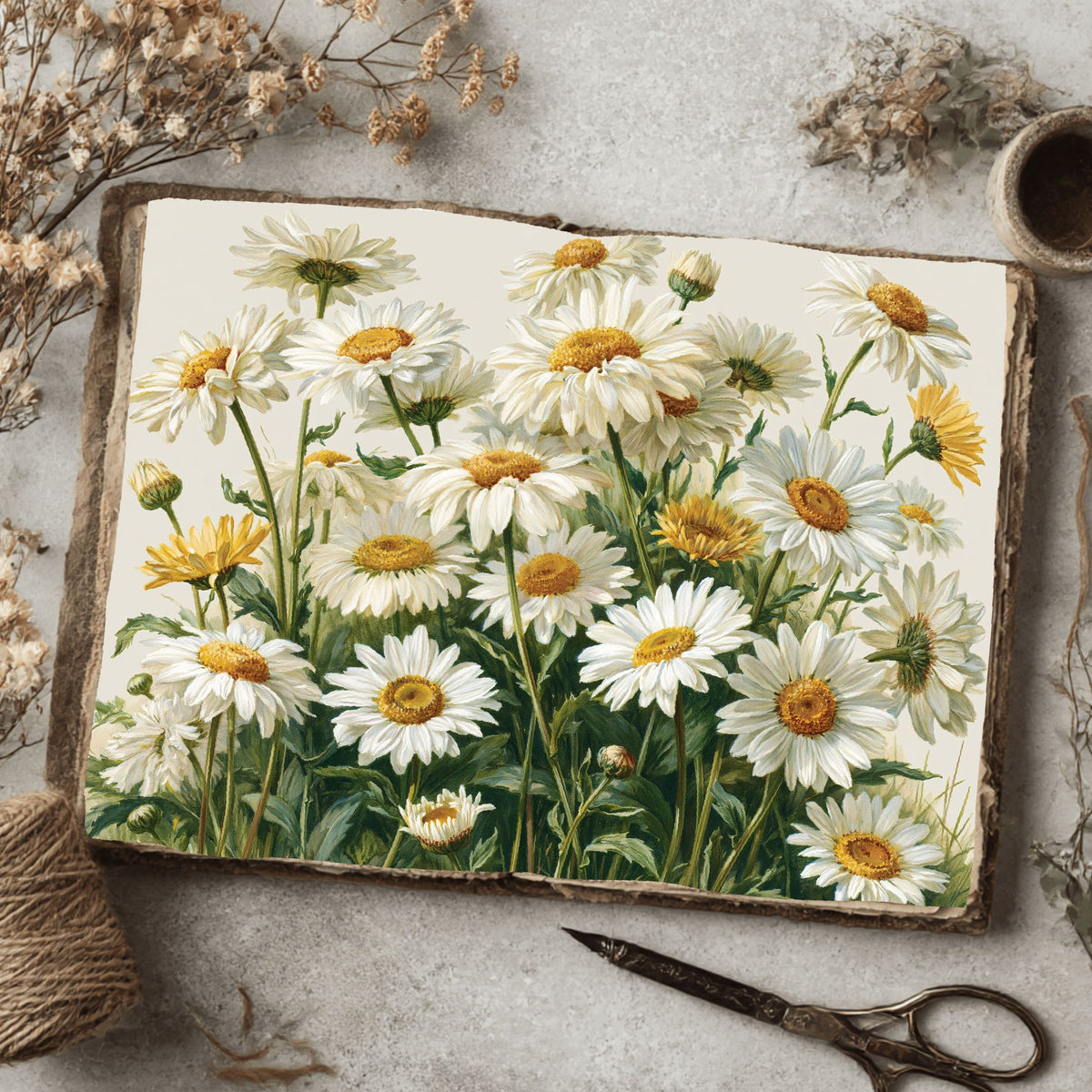Meadow Daisy Botanical Cluster