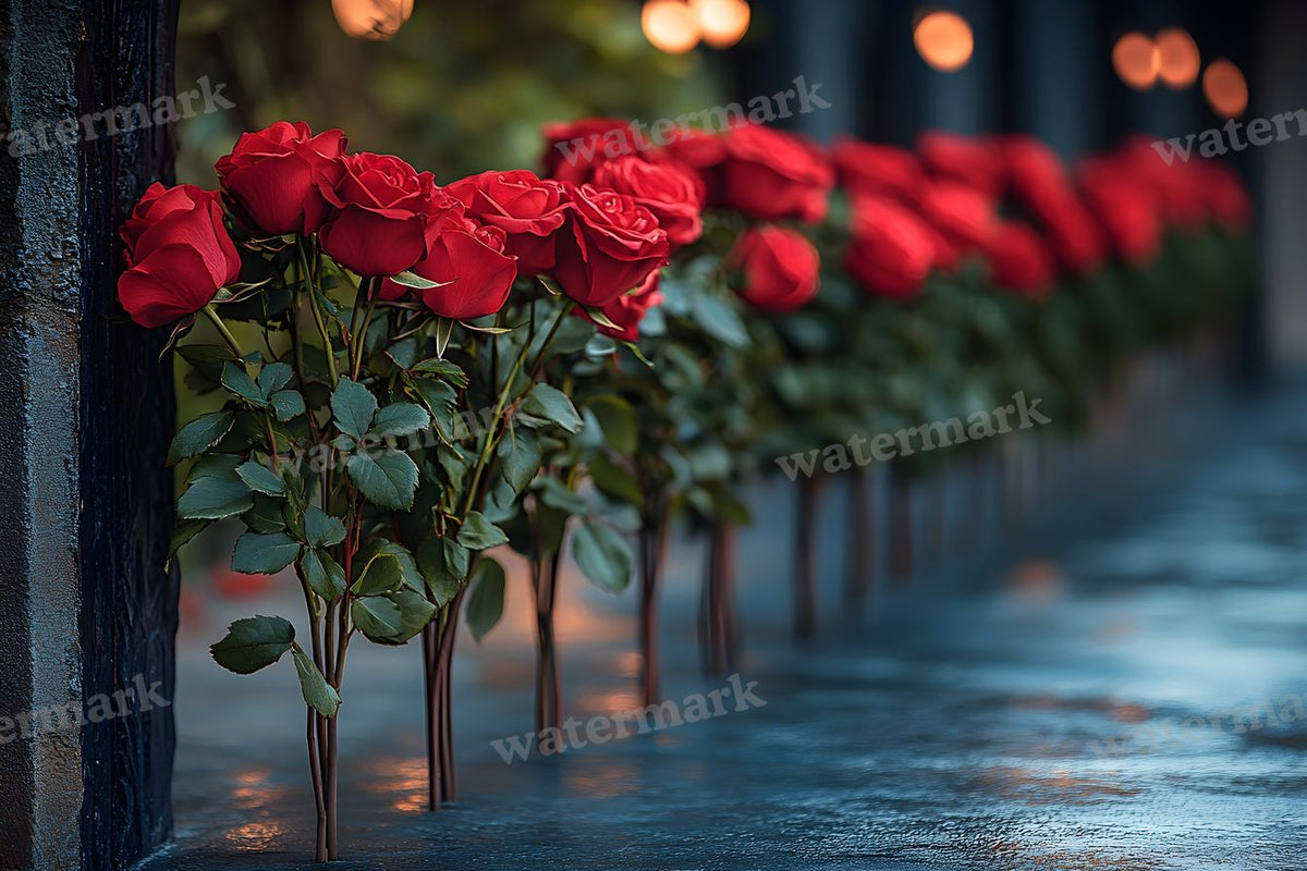 Romantic Valentine Pov Backdrop Images